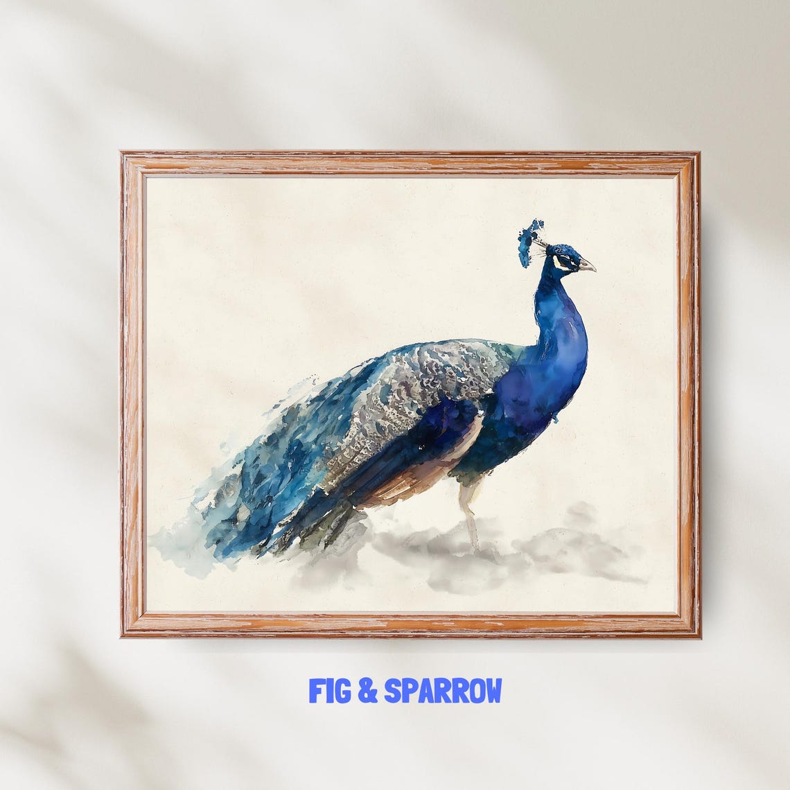 Elegant Blue Peacock Watercolor Bird Portrait Painting Poster