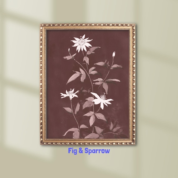 Burgundy Botanical Flower Print Moody Floral Wall Art Vintage Nature Decor