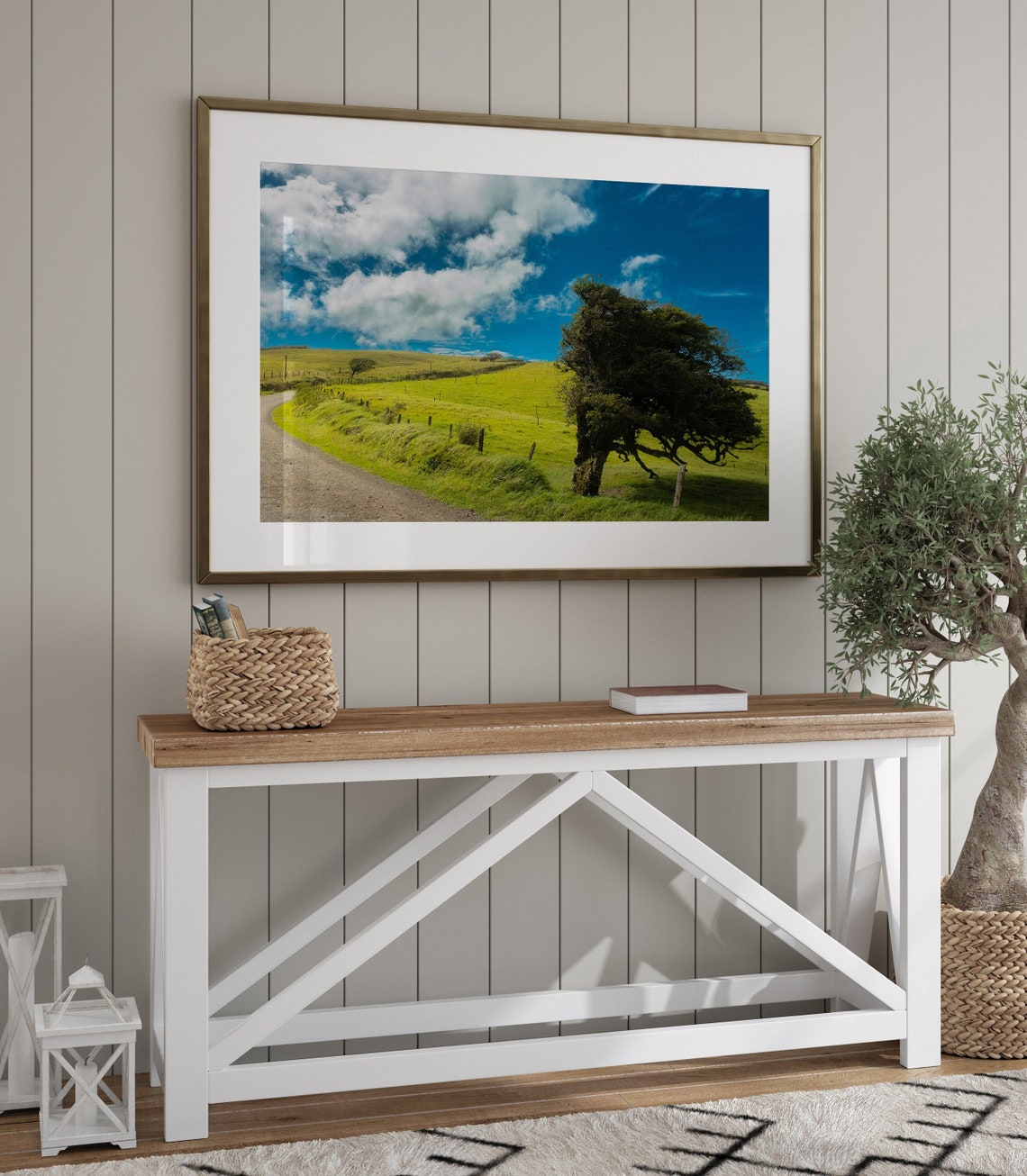 Windswept Tree in Costa Rica, Minimalist Fine Art