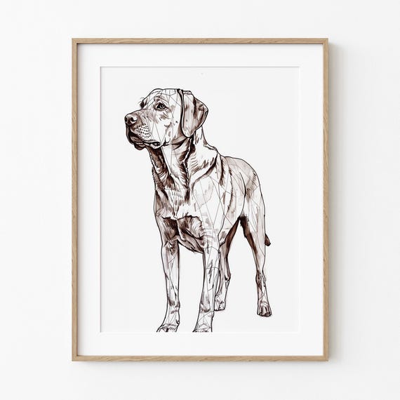 Brown Labrador Dog Illustration Lovers Print Autumn Season Colors Decor Minimalist Sketch