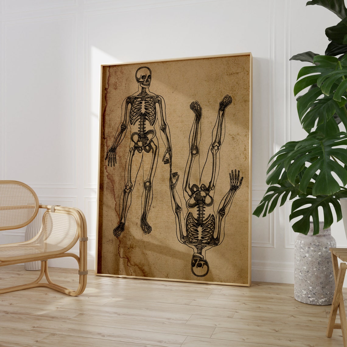 Vintage Anatomical Skeleton Study Antique Paper Gothic Decor Poster - Image 3