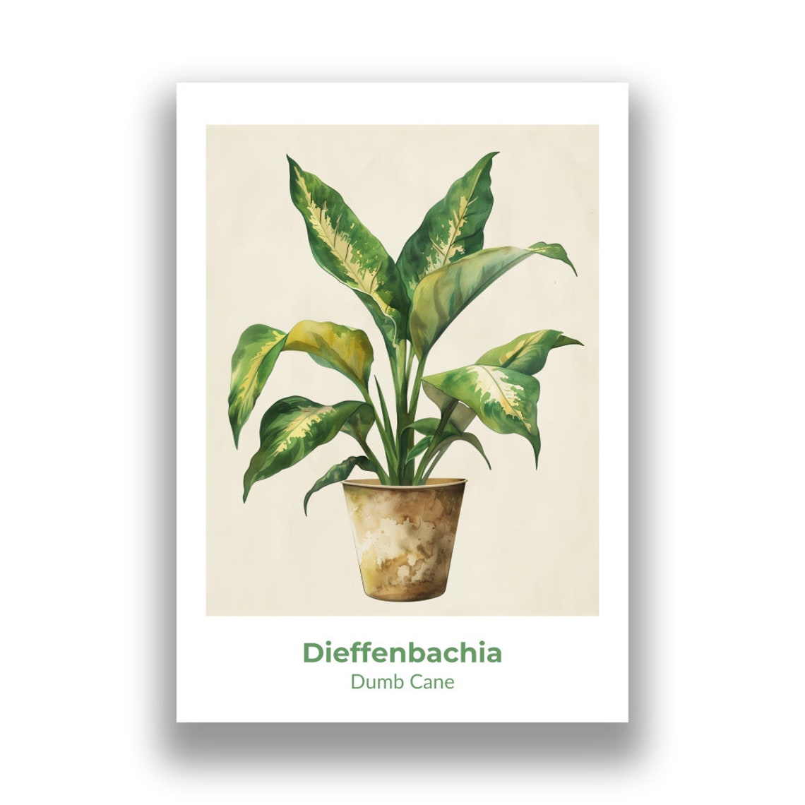 Dieffenbachia Dumb Cane Potted Plant Watercolor Botanical Art Poster - Image 2