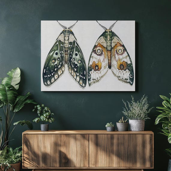 Moth Wall Art Artwork Nature Watercolor Canvas Prints Home Decor Modern Entomology Gift