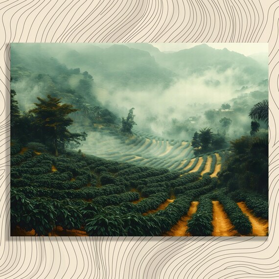 Misty Tropical Plantation Rows Lush Green Foggy Mountain Wall Art