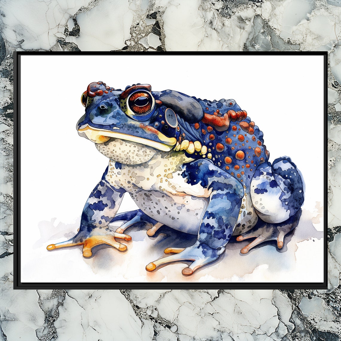 Blue Red Watercolor Toad Amphibian Wildlife Art Painting Poster