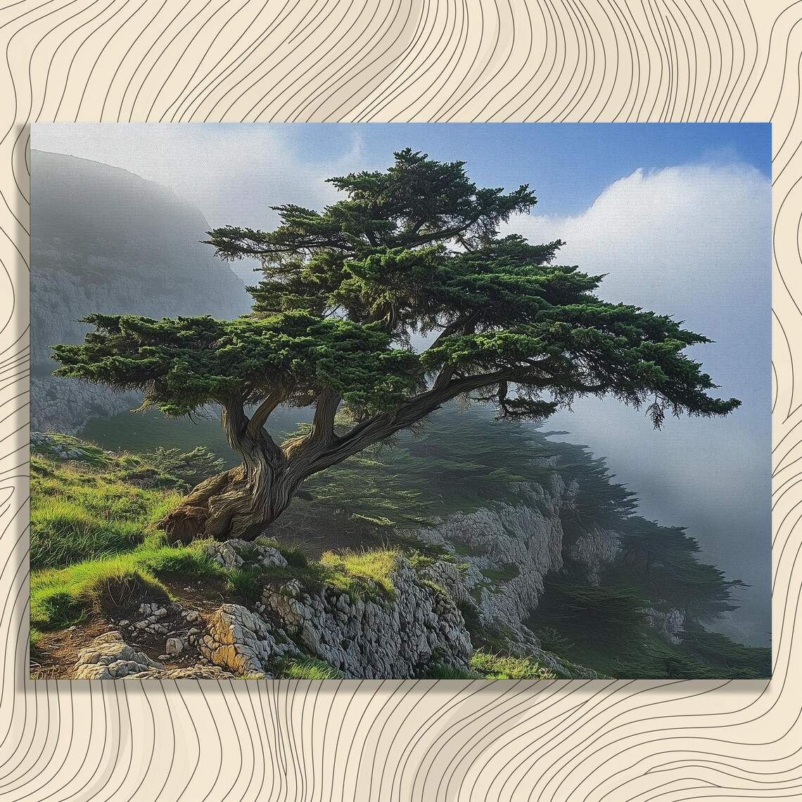 Lebanon Scenic Cedar Forests In Mountains Art Print
