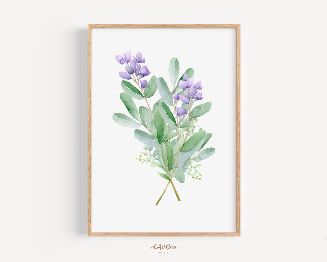Eucalyptus Botanical Print, Botanical Wall Art
