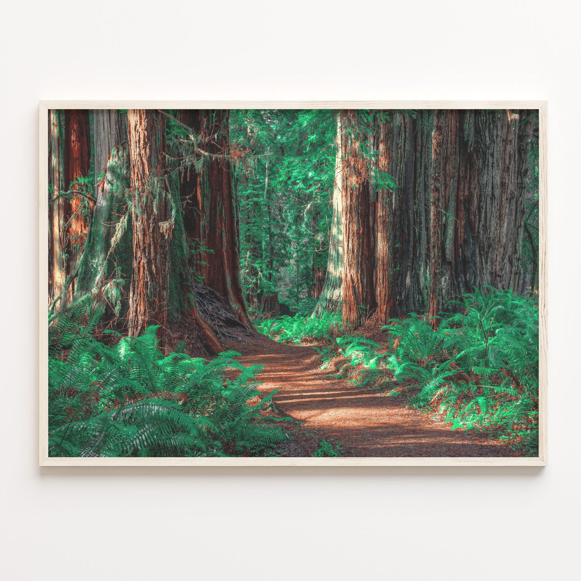 Redwood National Park Colorful Poster Print Redwood National Park Photo Art Wall Decor Travel Print City Map Street Map Poster C18 338