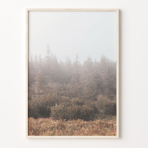 Foggy Forest Colorful Poster Print Foggy Forest Photo Wall Art Wall Art Boho Decor Colorful Wall Art Photography Poster Print C18 86