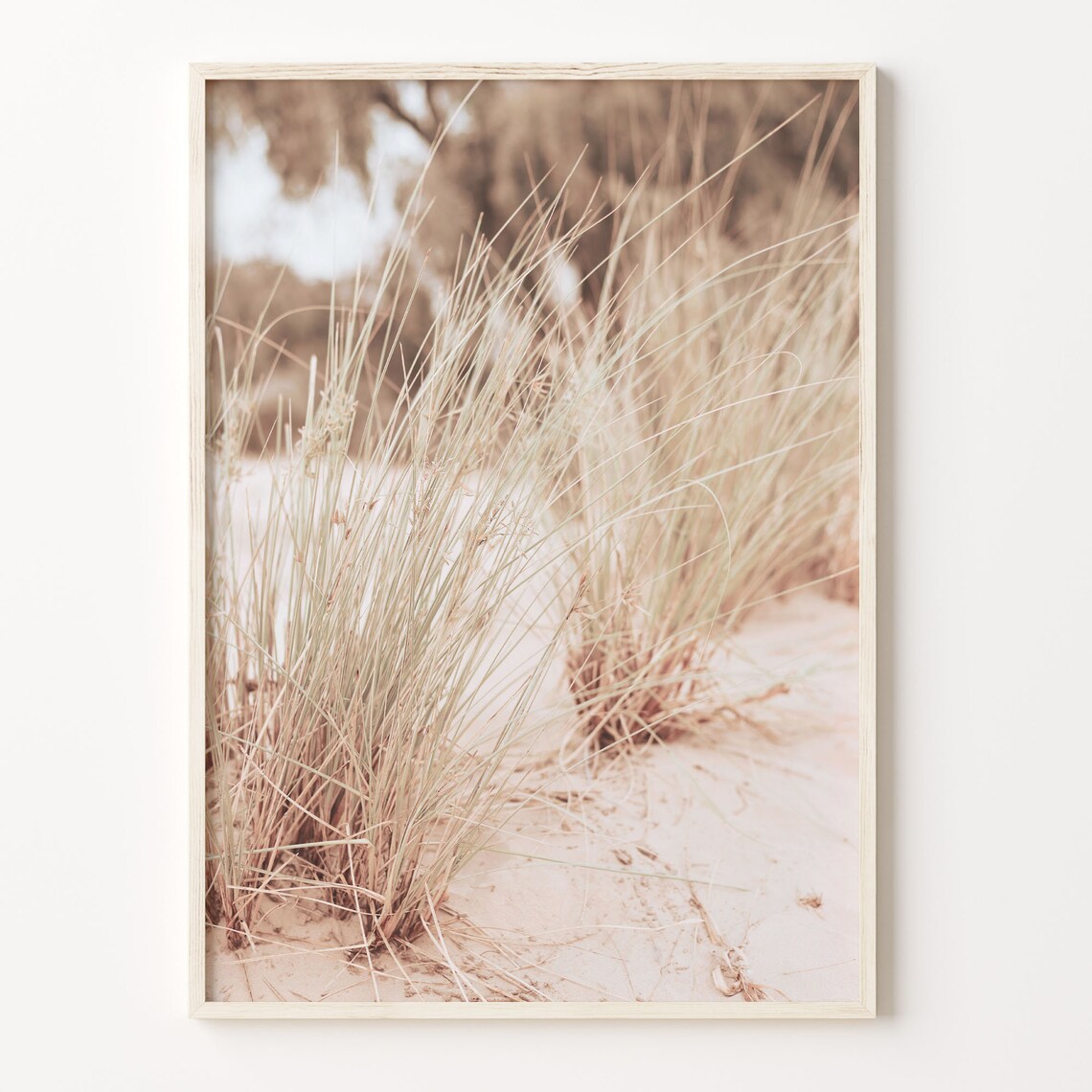 Delicate Windswept Beach Grass On Pale Sand Dunes Photo Poster