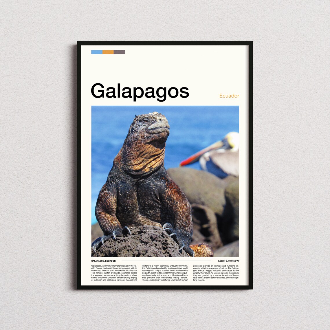 Galapagos Ecuador Marine Iguana Wildlife Nature Photography Poster