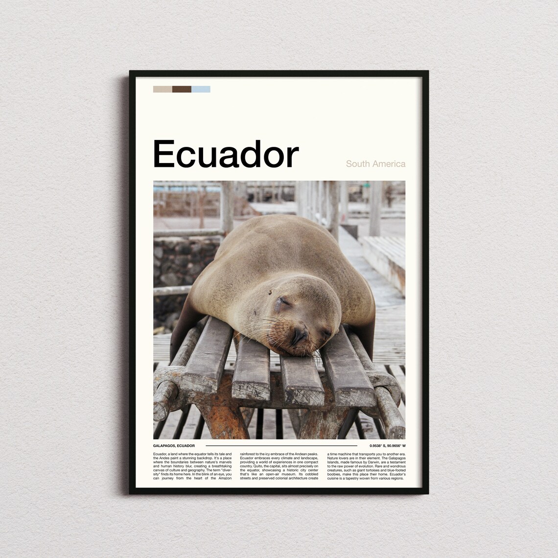 Galapagos Ecuador Sea Lion Wildlife Island Travel Photo Poster