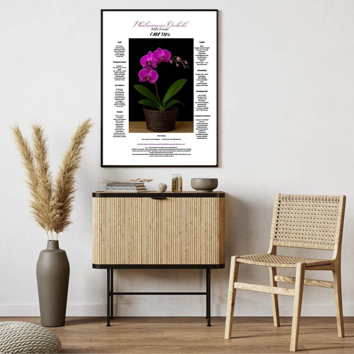 Purple Phalaenopsis Orchid Care Tips Poster