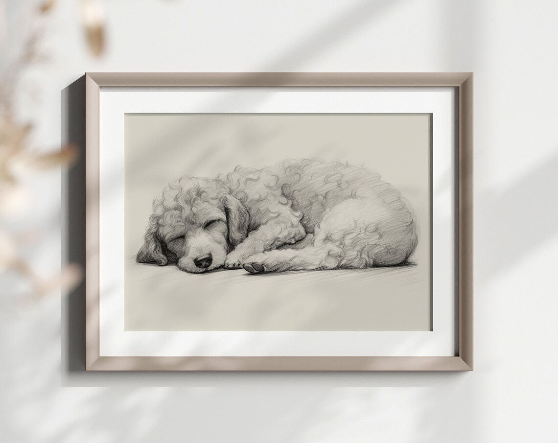 Poodle Sleeping Curly Coat Dog Pencil Sketch Breed Lover Gift Poster