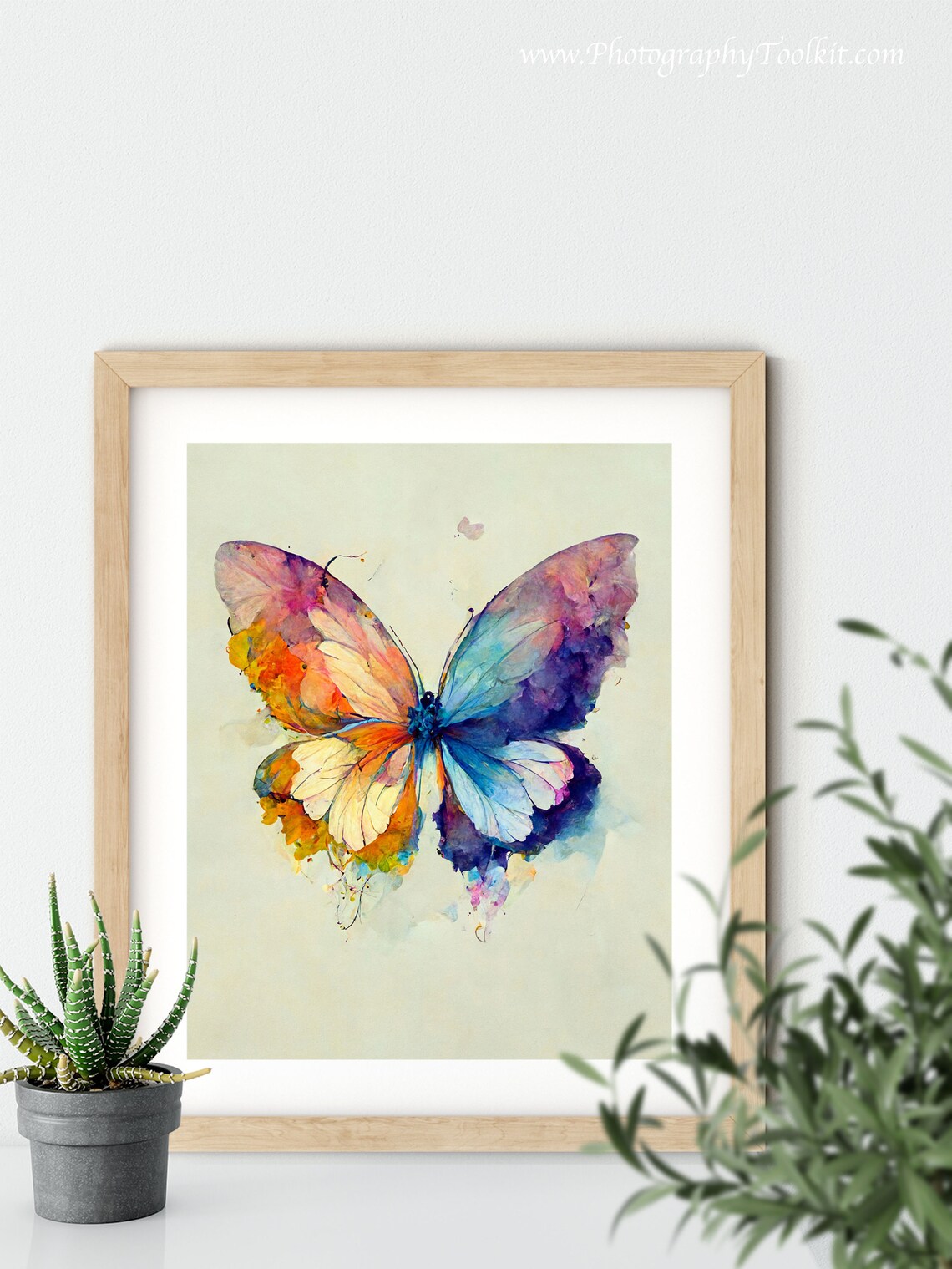 Rainbow Butterfly Natural History Art Print - Image 5
