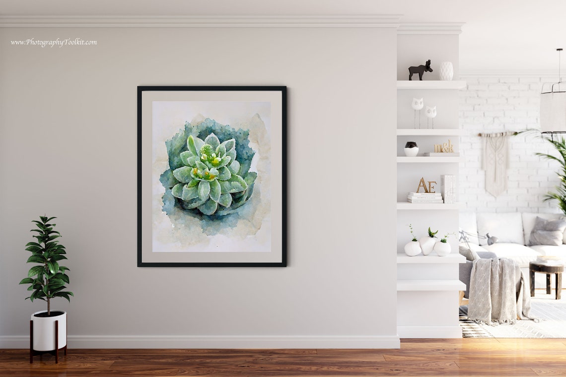 Gray Green Succulent Top View Watercolor Minimal Plant Poster - Image 4