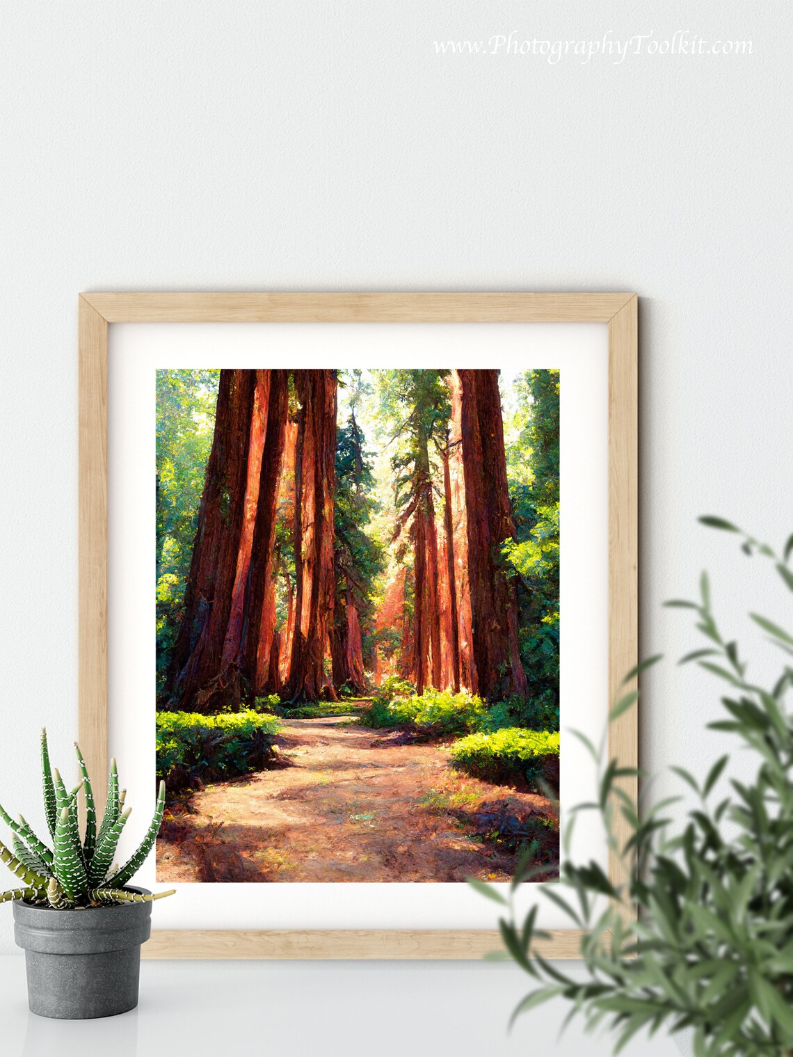 Redwood Tree Wall Art Redwood National Park Travel Poster Vintage Travel Print Poster Eureka California Redwood Forest Print State Park - Image 5
