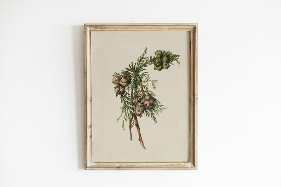 Winter Branch Christmas Vintage Antique Poster