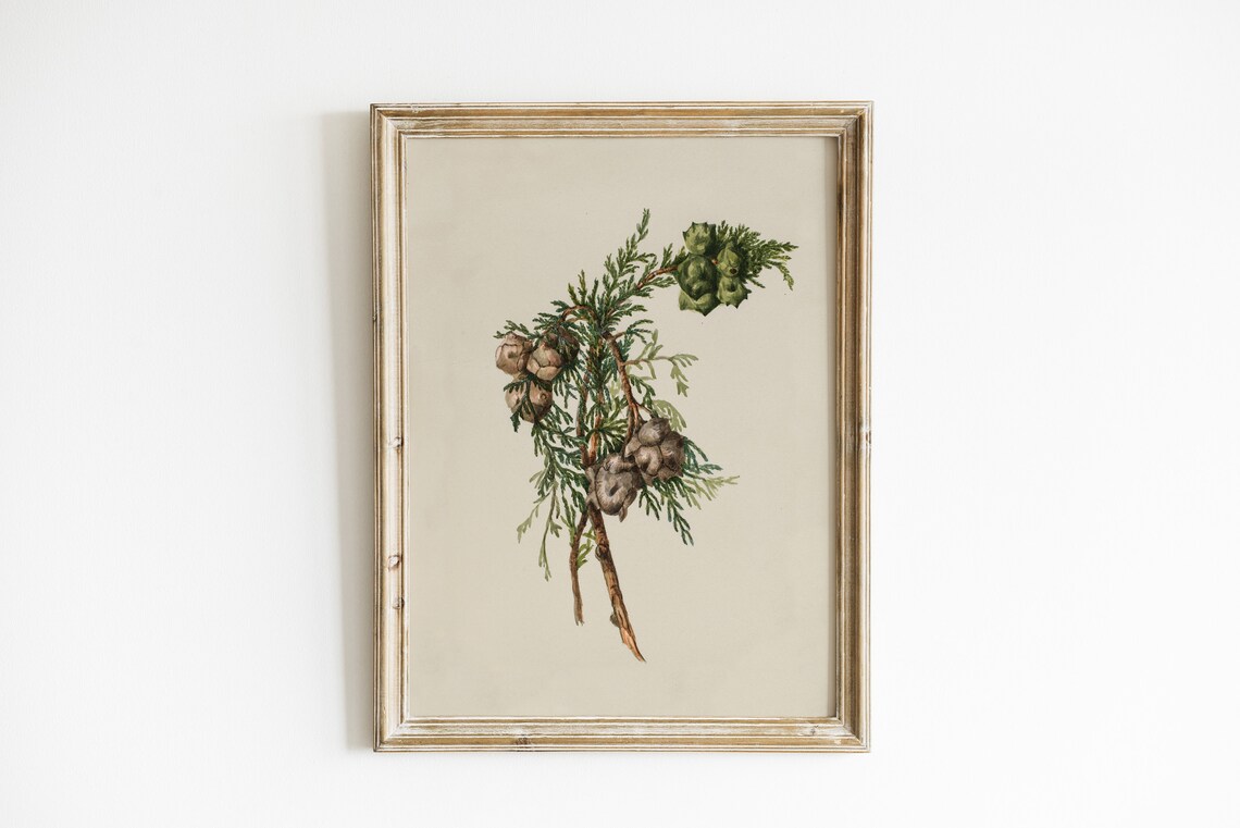 Winter Branch Christmas Vintage Antique Poster