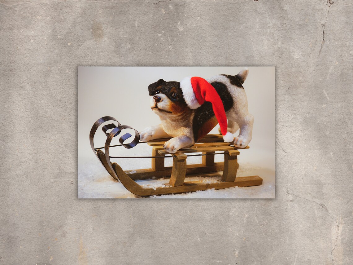 Christmas Puppy In Santa Hat Sitting On Wooden Sleigh In Snow Poster - Image 3