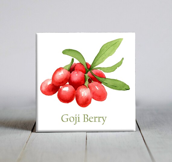 Goji Berry Ceramic Tile Fruit Decorative Tile Food Lover Gift Unique Fruit Gifts