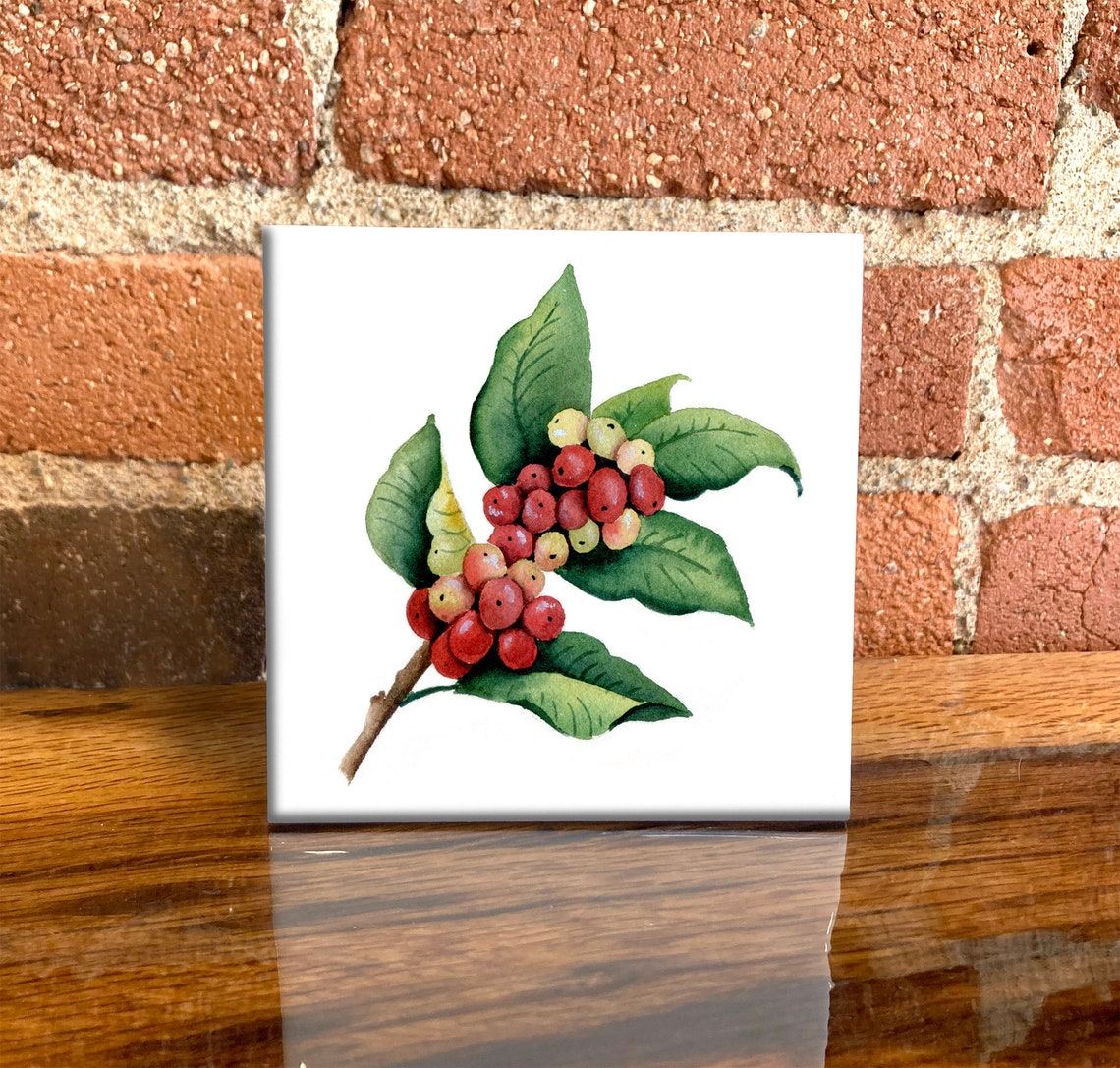 Red Berry Branch Botanical Watercolor Kitchen Decor Beautiful Poster