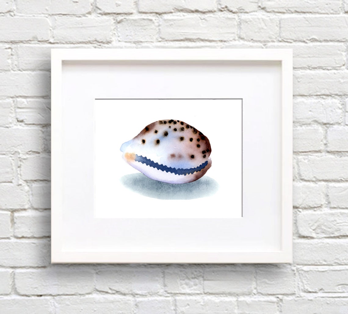 Spotted Cowrie Shell Watercolor Coastal Beach Shell Collector Poster