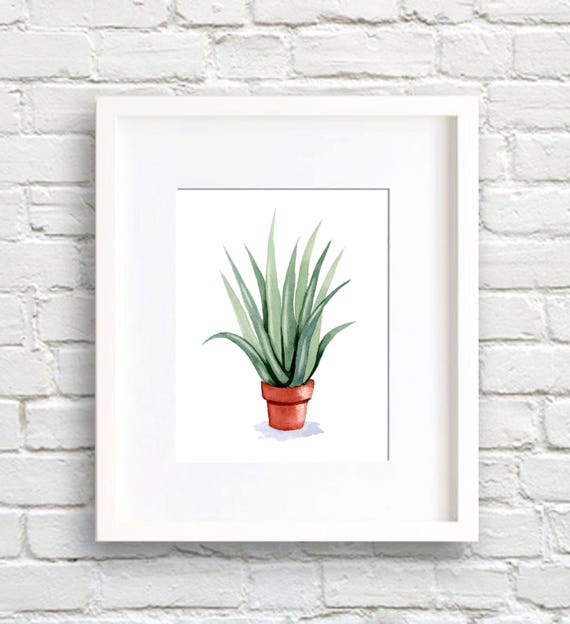 Aloe Vera Watercolor Art Print, Botanical Decor