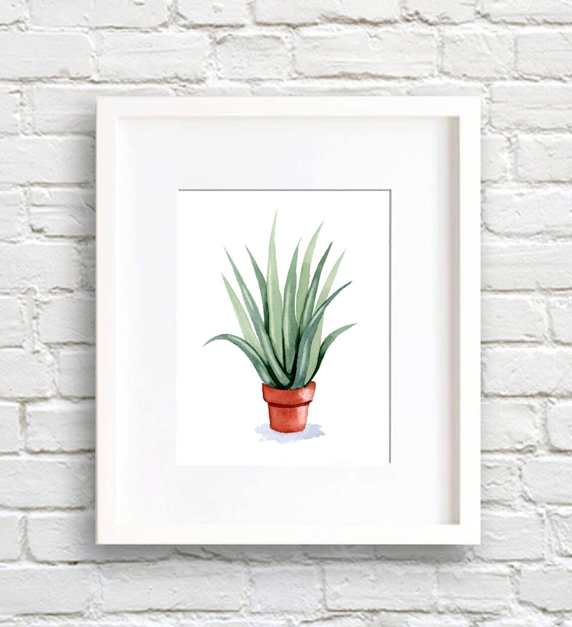Aloe Vera Watercolor Art Print, Botanical Decor