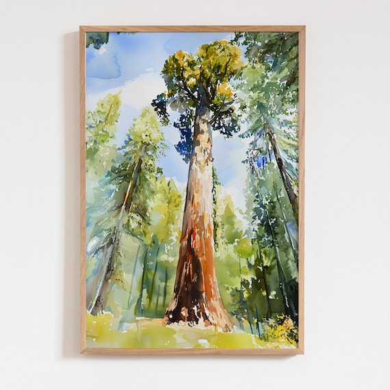 Giant Sequoia Tree Watercolor National Park Forest Tall Redwood Wall Poster