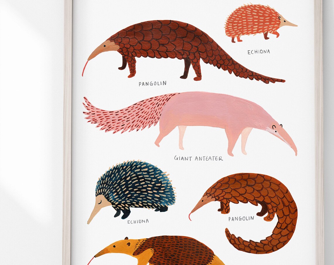 Pangolin, Anteater, and Echidna Nursery Art Print - Image 4