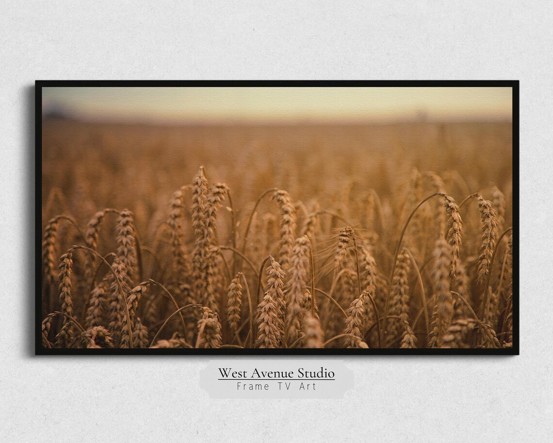 Fall Wheat Field TV Art, Farmhouse Decor Print - Image 5