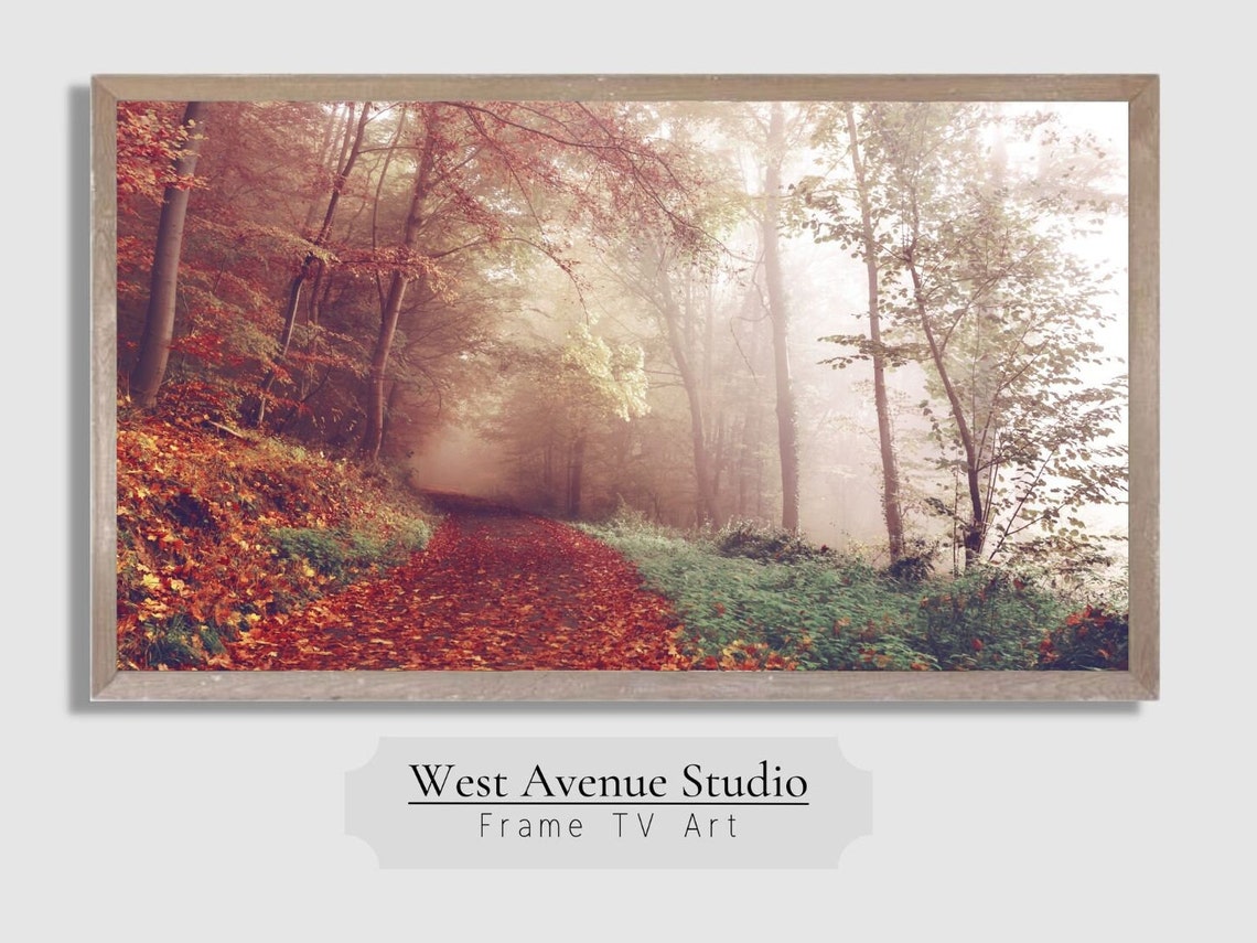 Autumn Forest Path Red Leaves Misty Fall Trail Woodland Photo Poster