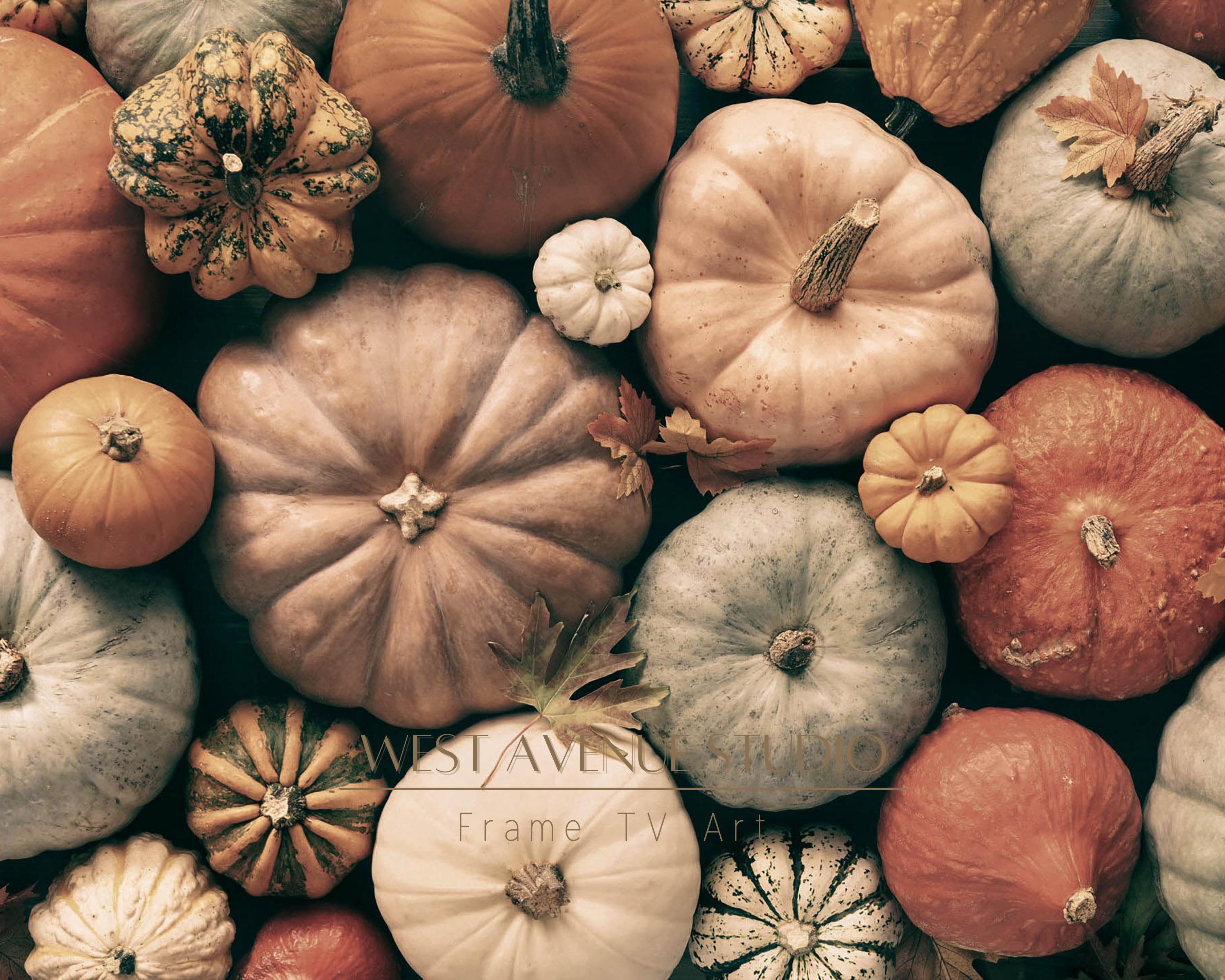 Thanksgiving Harvest Set of 4 Vintage Fall Farmhouse Kitchen Wall Art Print - Image 3