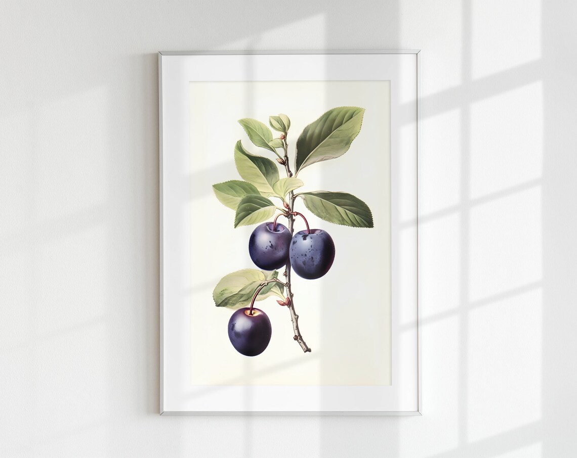 Vintage Plum Botanical Fruit Print, Wall Art