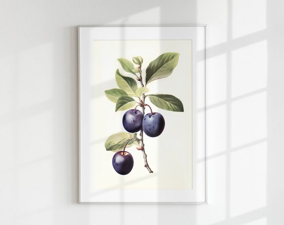 Vintage Plum Botanical Fruit Print, Wall Art