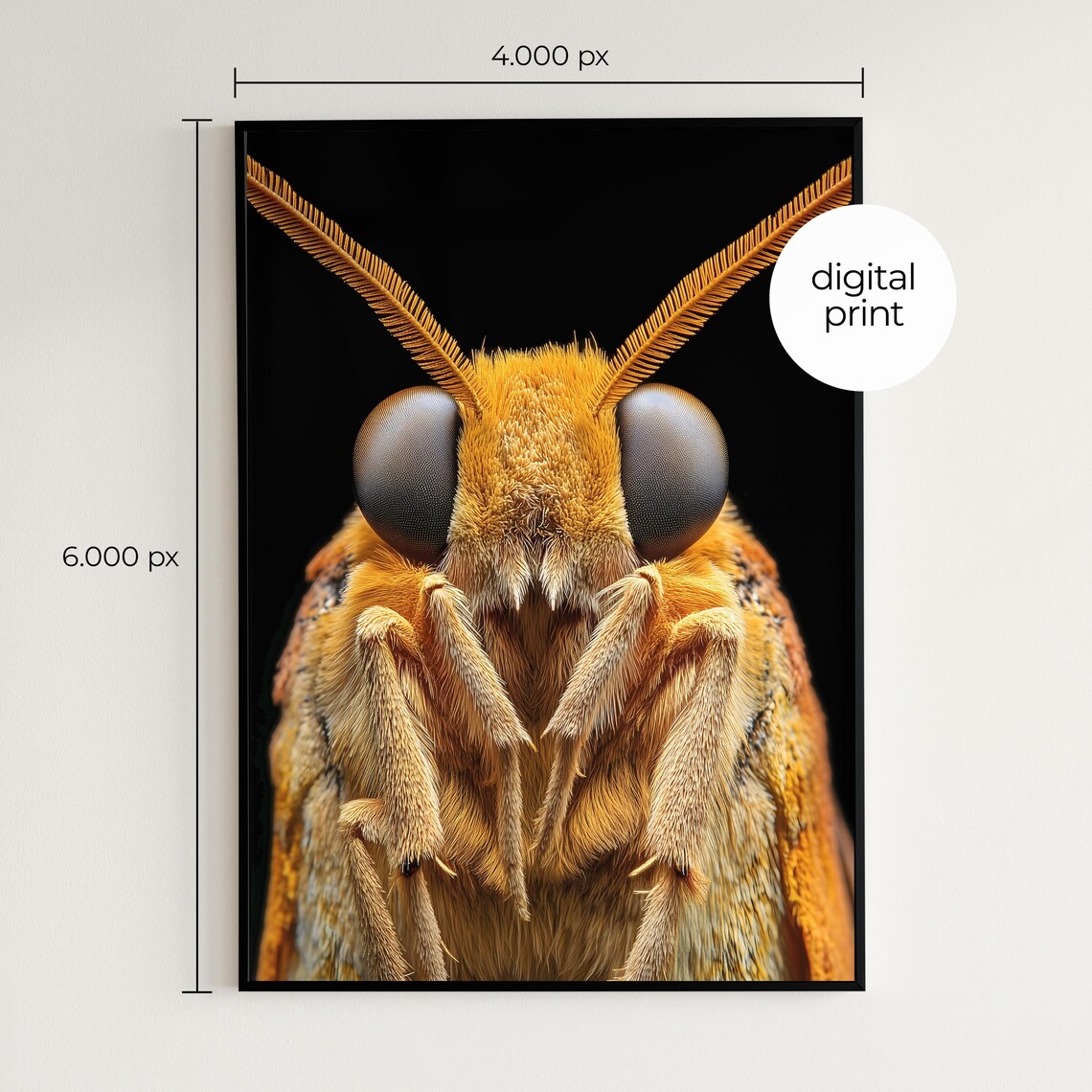 Moth Photo Poster, Minimal Modern Insect Portrait - Image 2