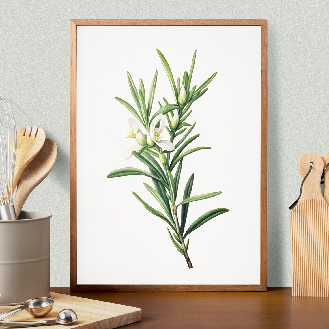 Vintage Rosemary Botanical Herb Poster Print - Image 2