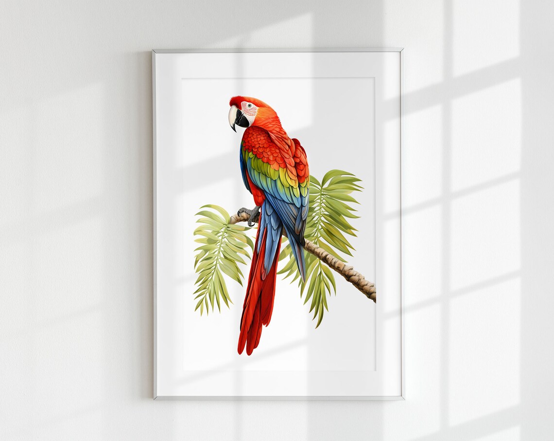 Scarlet Macaw Minimal Poster, Tropical Bird Decor