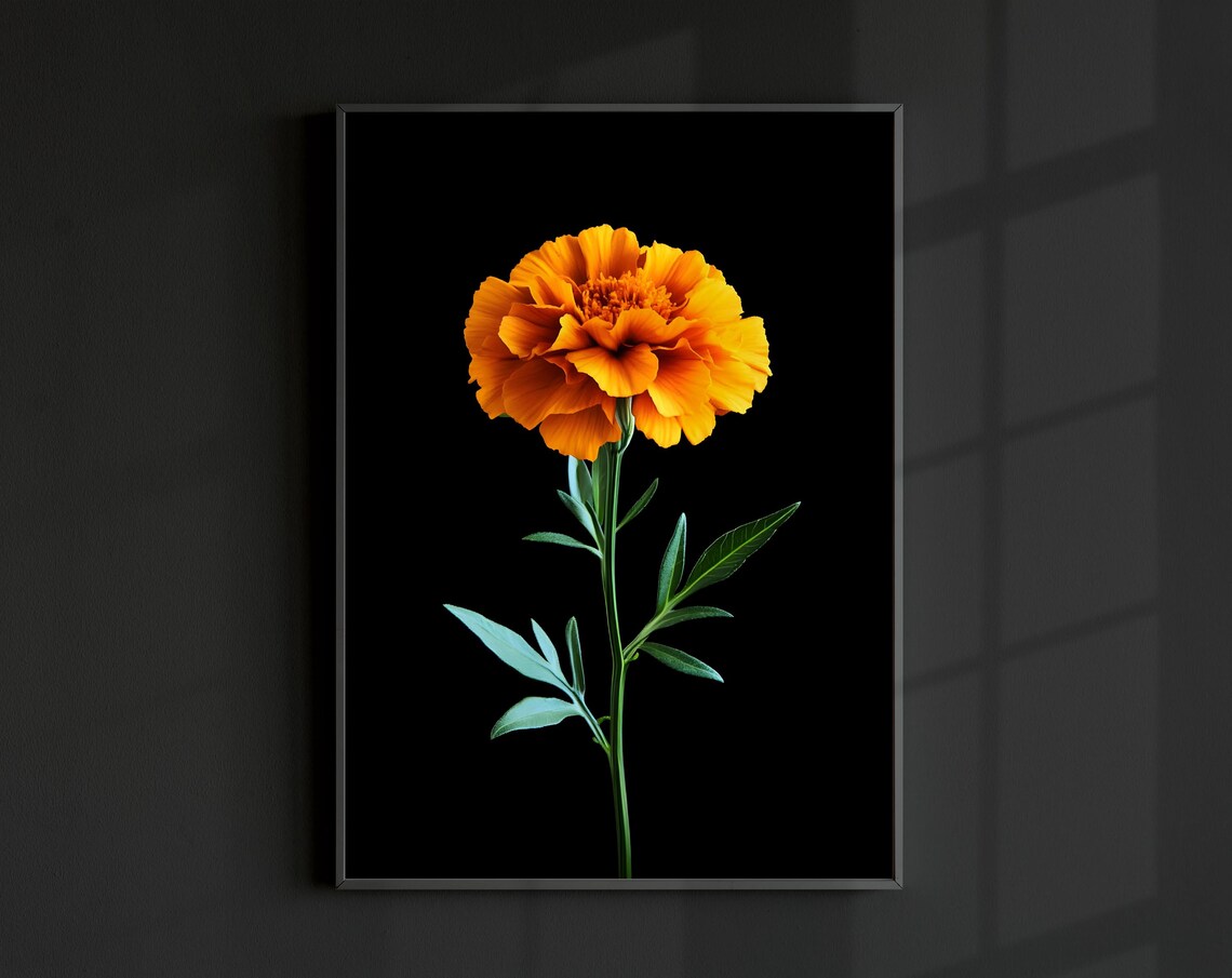 Marigold Floral Botanical Art Print, Minimal Modern