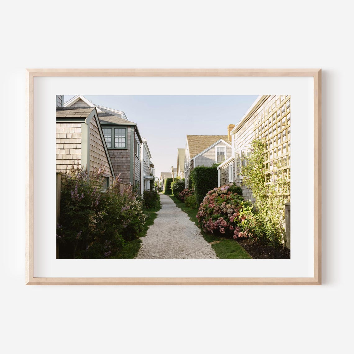 Charming Shingle House Lane With Blooming Hydrangeas Art Poster