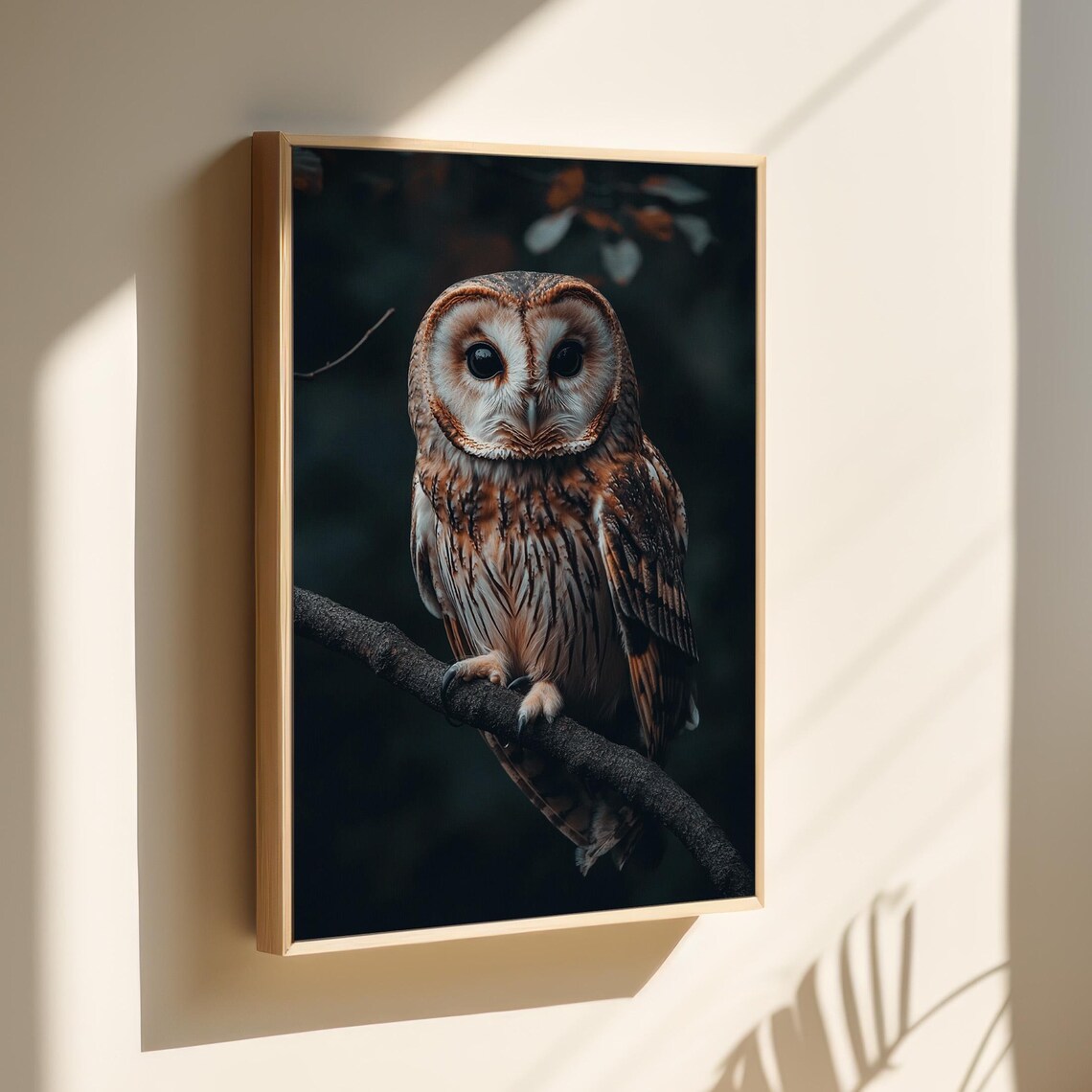 Tawny Owl Close-Up Portrait Dark Forest Wildlife Wall Art Print