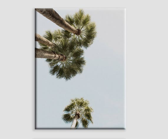 Palm Trees Above Fine Art Photograph Desert Tree Print Wall Decor Gift Ideas Home Photography