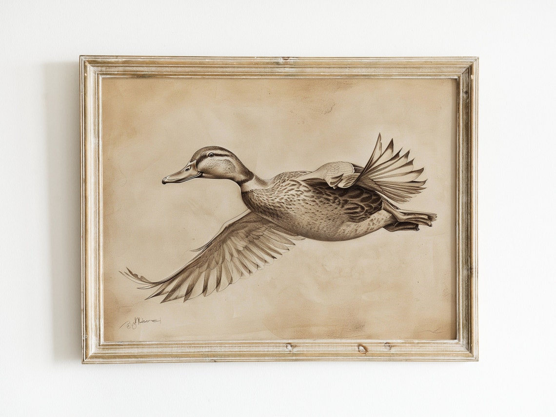 Mallard Duck in Flight Vintage Sepia Wildlife Etching Art Print