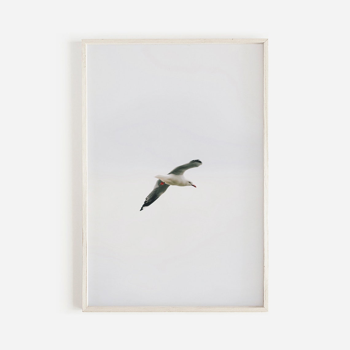 Lone Seagull in Flight Minimalist White Sky Coastal Photo Print