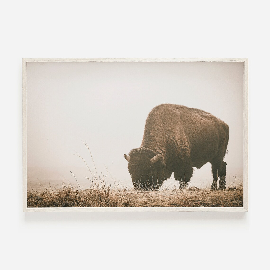 Foggy Bison Art Print, Rustic Western Landscape
