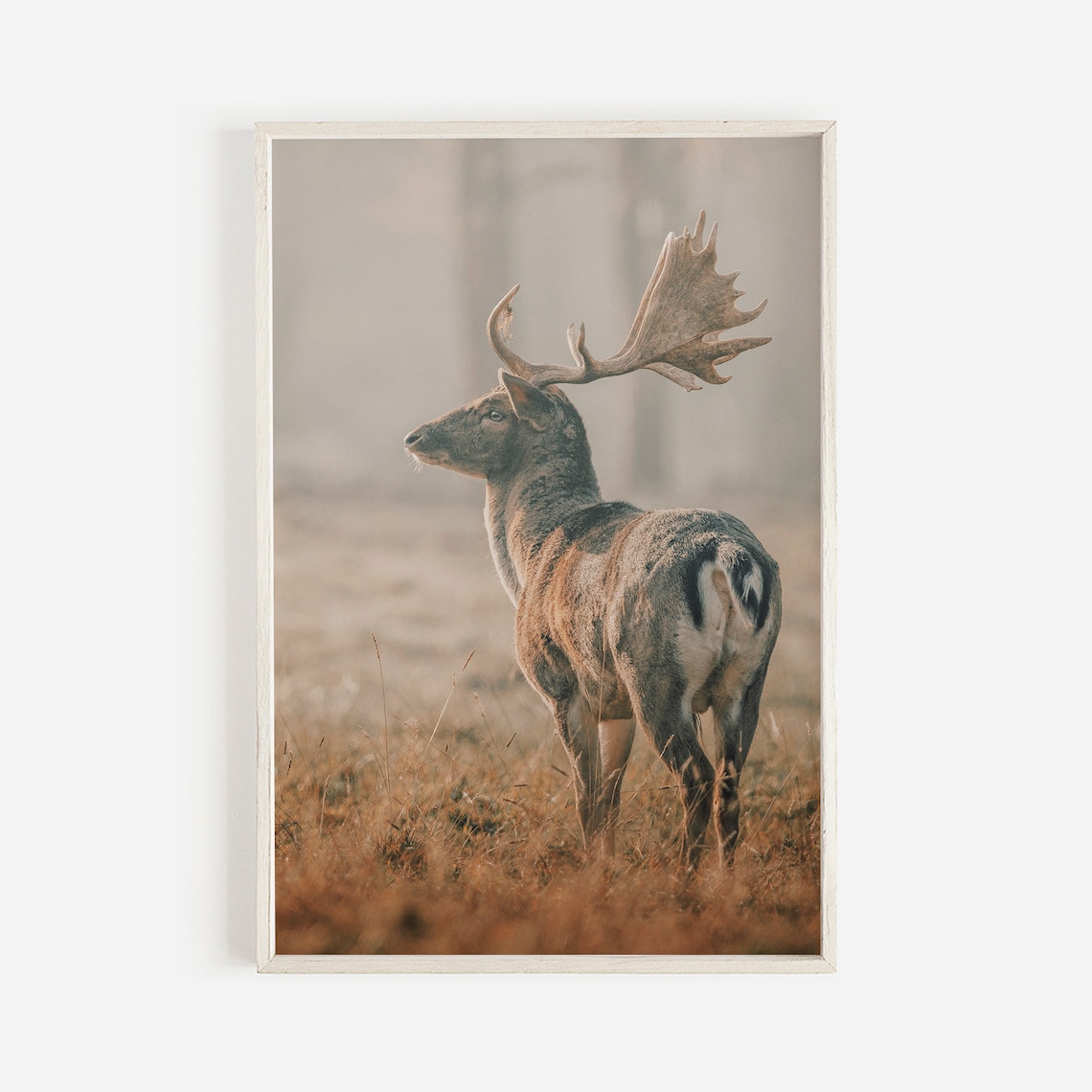 Fallow Deer Nature Poster, Rustic Wildlife Decor