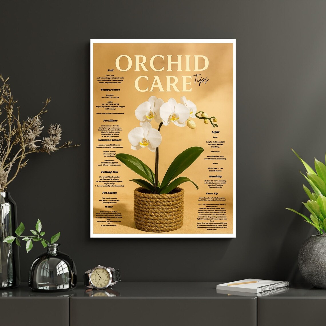 White Phalaenopsis Orchid Care Tips Poster