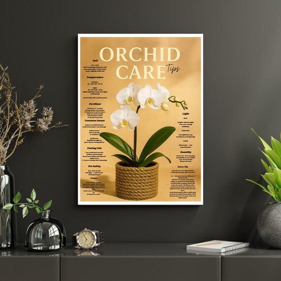 White Phalaenopsis Orchid Care Tips Poster