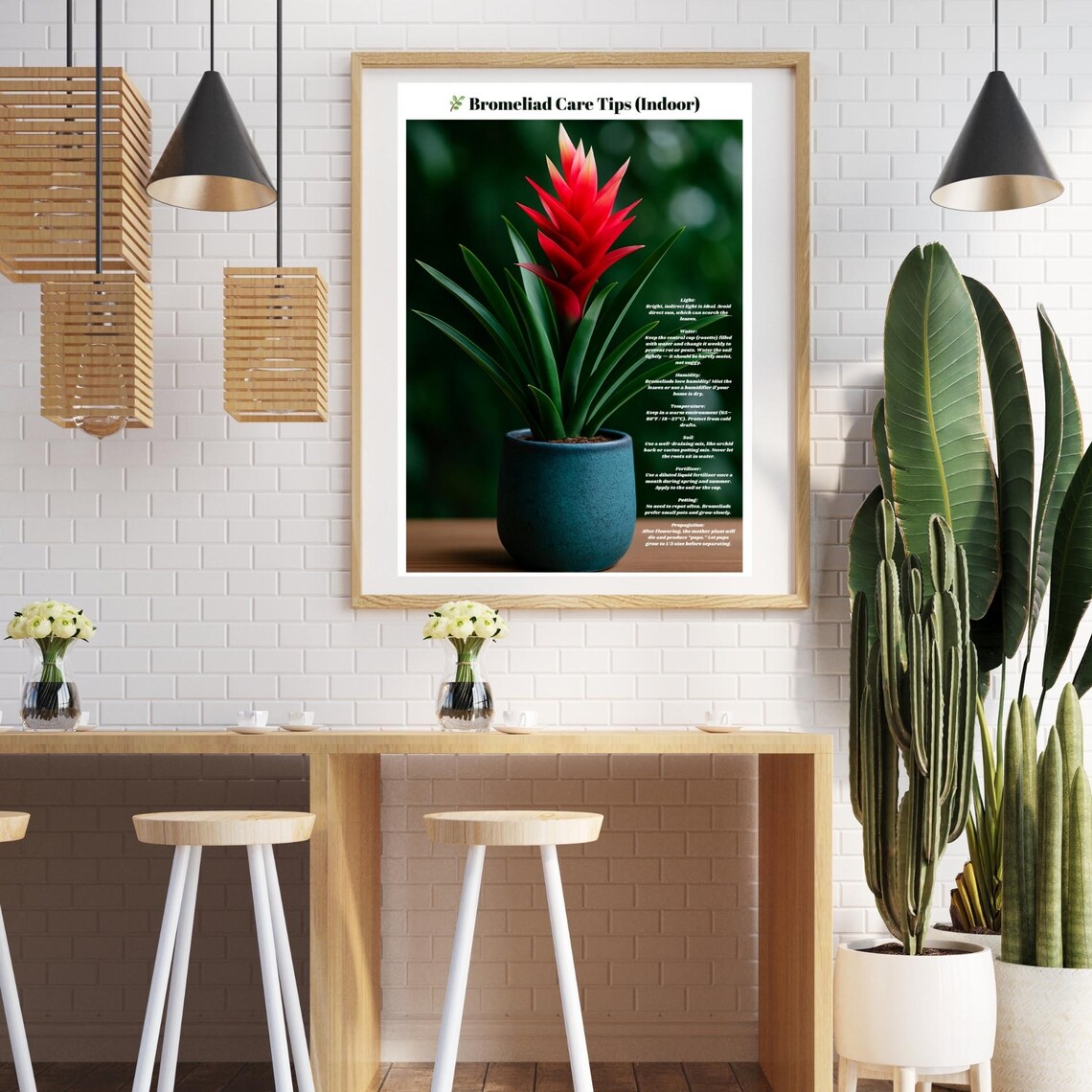 Bromeliad Care Guide Poster, Tropical Houseplant Decor